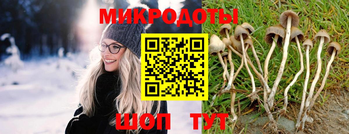 Галлюциногенные грибы ЛСД  Вход с VPN  Псилоцибиновые грибы ЛСД  Гусев 