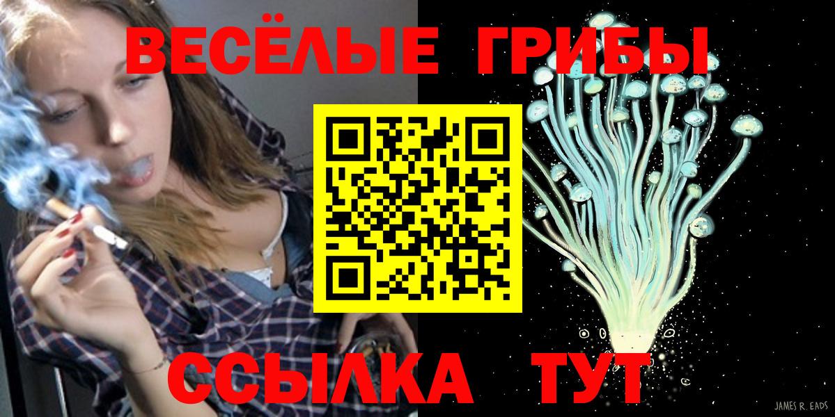 Галлюциногенные грибы Magic Shrooms Гусев